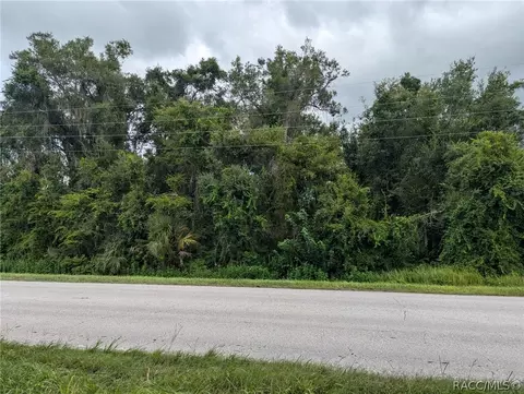 0 E C 48, Bushnell, FL 33513 photo 5