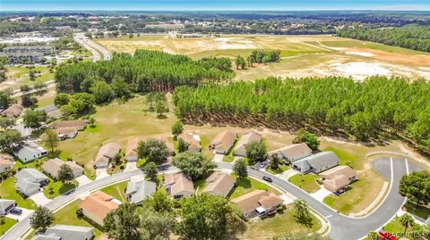 View/Area - 821 W Cockatiel Loop, Hernando, FL 34442 photo 4 of 5