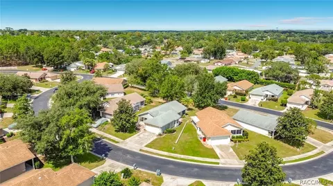 View/Area - 821 W Cockatiel Loop, Hernando, FL 34442 photo 3 of 5