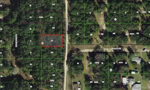 1001 Parkview Ave, Inverness, FL 34453