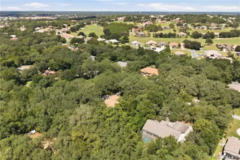 View/Area - 390 W Britain St, Hernando, FL 34442 photo 4 of 9