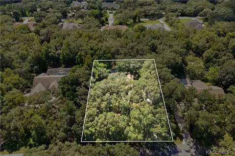 View/Area - 390 W Britain St, Hernando, FL 34442 photo 1 of 9