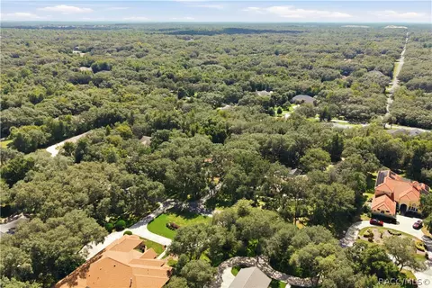 View/Area - 390 W Britain St, Hernando, FL 34442 photo 9 of 9