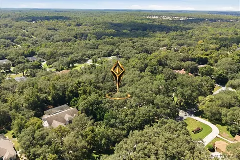 View/Area - 390 W Britain St, Hernando, FL 34442 photo 6 of 9
