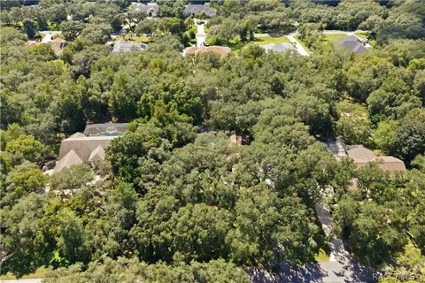View/Area - 390 W Britain St, Hernando, FL 34442 photo 5 of 9