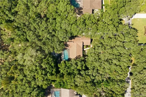 View/Area - 390 W Britain St, Hernando, FL 34442 photo 2 of 9