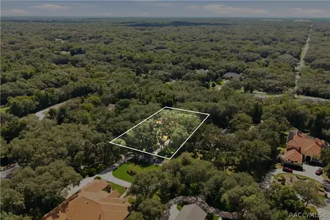 View/Area - 390 W Britain St, Hernando, FL 34442 photo 8 of 9