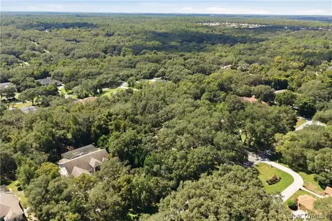 View/Area - 390 W Britain St, Hernando, FL 34442 photo 7 of 9