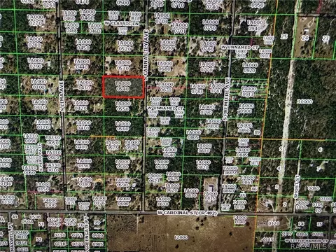 6348 S Canna Lily Ave, Homosassa, FL 34446