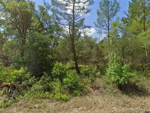 6270 W Kampala Ln, Dunnellon, FL 34433