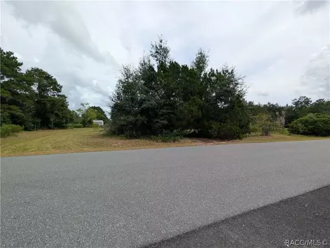 10133 S Appaloosa Ave, Floral City, FL 34436