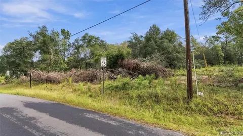 4811 N Redwood Ave, Hernando, FL 34442 photo 8
