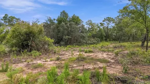 4811 N Redwood Ave, Hernando, FL 34442 photo 4