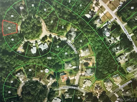 22 Mangrove Ct N, Homosassa, FL 34446