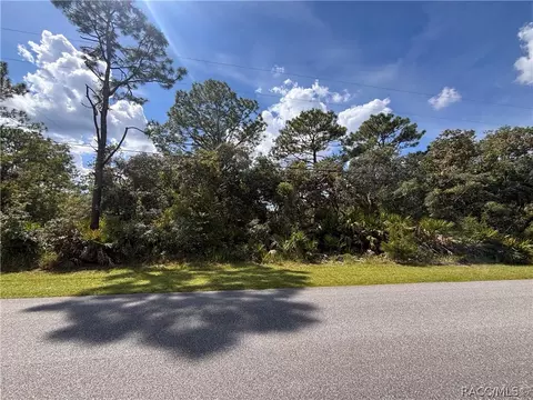1072 S Candlenut Ave, Homosassa, FL 34448