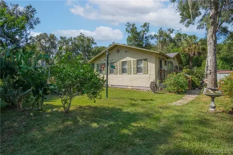 10425 E Pintail Dr, Floral City, FL 34436
