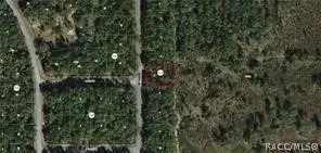 8145 N Yellowbird Ave, Citrus Springs, FL 34434