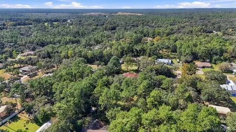 View/Area - 337 E Buckingham Dr, Lecanto, FL 34461 photo 6 of 6