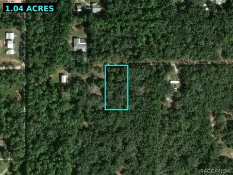 1434 W Milan Ln, Hernando, FL 34442 photo 2
