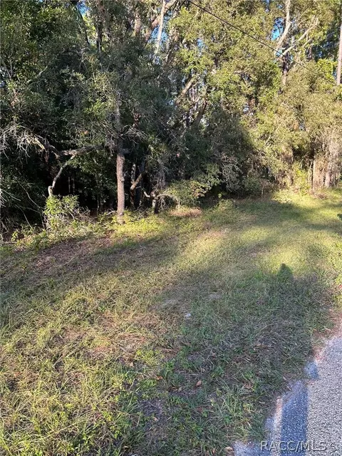 1721 W Pearson St, Hernando, FL 34442 photo 4
