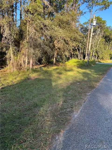 1721 W Pearson St, Hernando, FL 34442 photo 7