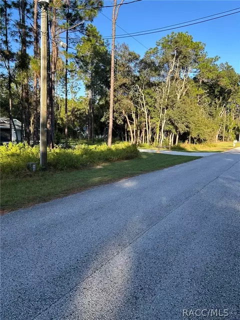 1721 W Pearson St, Hernando, FL 34442 photo 2