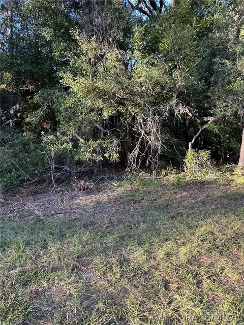 1721 W Pearson St, Hernando, FL 34442 photo 6
