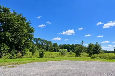 13830 Darby Park Ln, Dade City, FL 33525