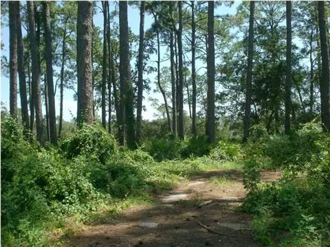 2702 Hwy 98 E, Carrabelle, FL 32322 photo 1