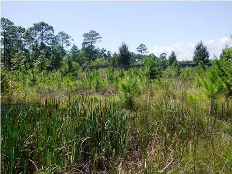1638 Landing St, Carrabelle, FL 32322 photo 1