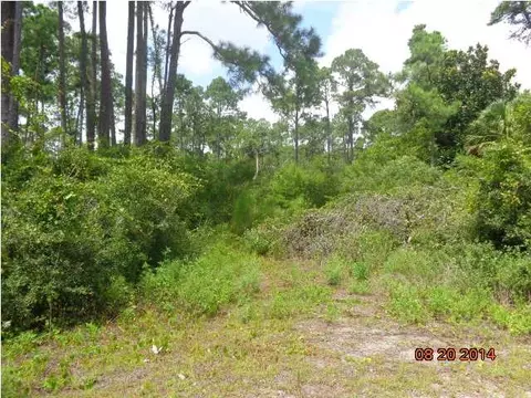 2133 Hwy 98, Carrabelle, FL 32322 photo 1