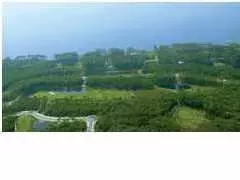 128 Anhinga Trl, Carrabelle, FL 32322 photo 1