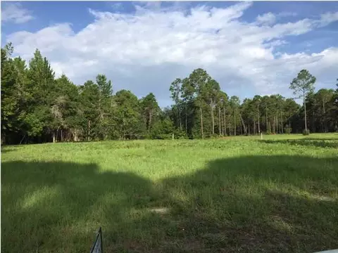 340 River Rd, Carrabelle, FL 32322 photo 1