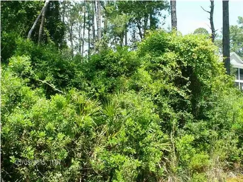 2995 Hwy 98, Carrabelle, FL 32322 photo 1
