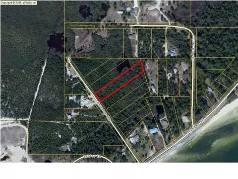 131 Herndon Rd, Carrabelle, FL 32322 photo 1