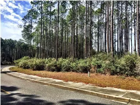 175 Royal Tern Way, Carrabelle, FL 32322 photo 1