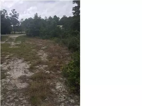 1844 Lighthouse Rd, Carrabelle, FL 32322 photo 1