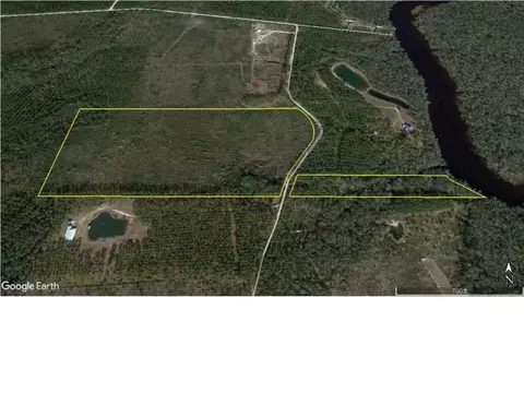 925 Hickory Hammock Rd, Carrabelle, FL 32322 photo 1