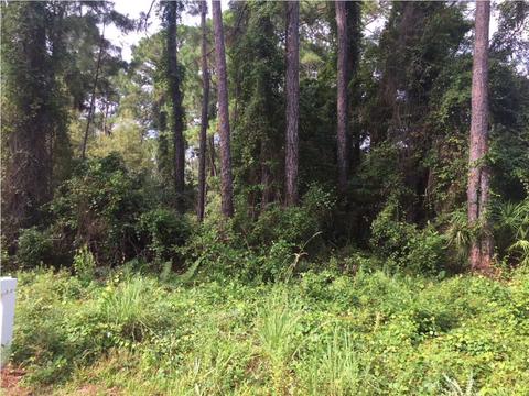 2971 Pristine Dr, Carrabelle, FL 32322 photo 1