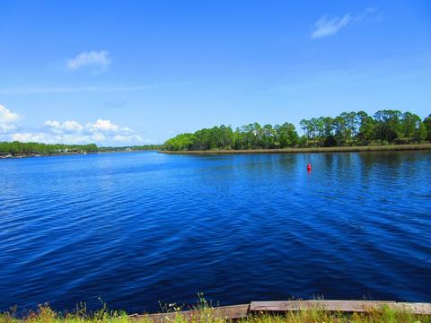 311 River Rd, Carrabelle, FL 32322 photo 20