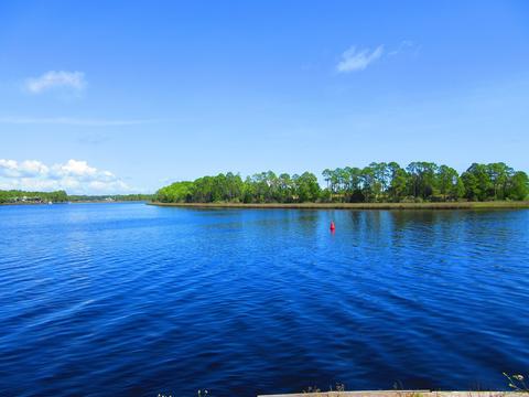311 River Rd, Carrabelle, FL 32322 photo 31
