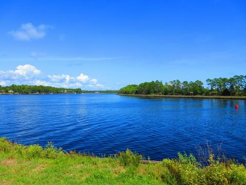 311 River Rd, Carrabelle, FL 32322 photo 21