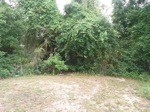 1005 NE 3rd St, Carrabelle, FL 32322 photo 13