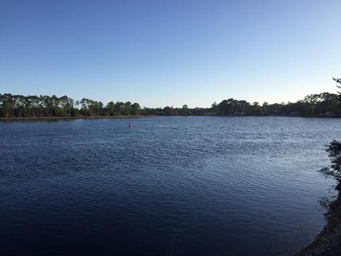 381 River Rd, Carrabelle, FL 32322 photo 1