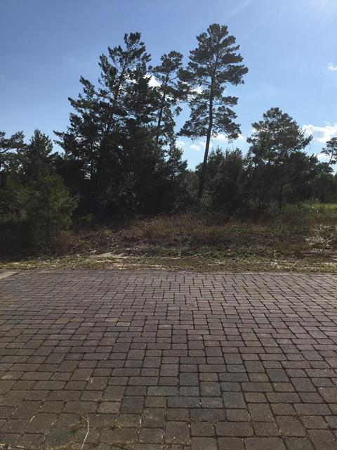 156 Pine St, Carrabelle, FL 32322 photo 1