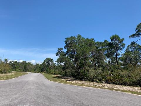 159 Single Leaf Rd, Eastpoint, FL 32328 photo 1