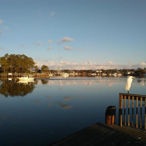 3101 Hwy 98 E, Carrabelle, FL 32322 photo 25