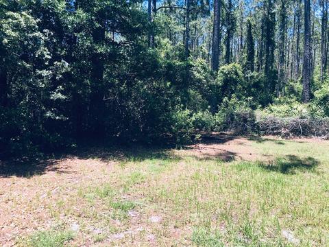 3101 Hwy 98 E, Carrabelle, FL 32322 photo 20