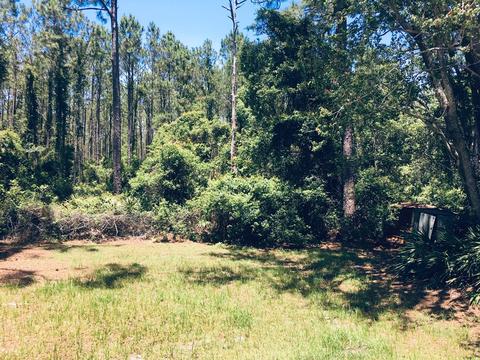 3101 Hwy 98 E, Carrabelle, FL 32322 photo 21