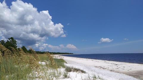 3101 Hwy 98 E, Carrabelle, FL 32322 photo 24